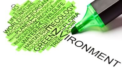 Environmental Determinants of Health